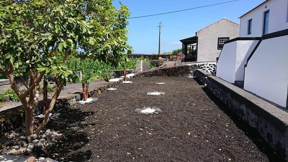 Azores Black Mountain House, Estudio E T2 Ilha Do Pico Sao Roque do Pico Luaran gambar
